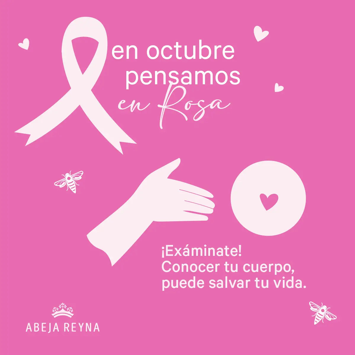 En Octubre pensamos en Rosa